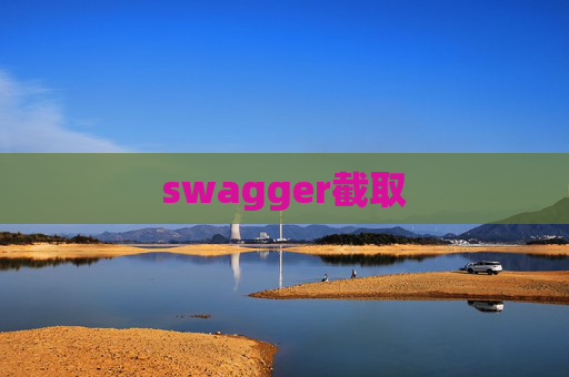swagger截取